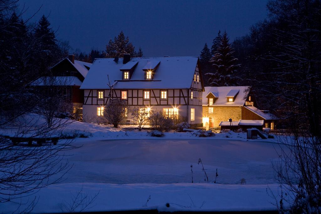 Romantik Hotel Landhaus Barenmuhle Frankenau Exterior photo