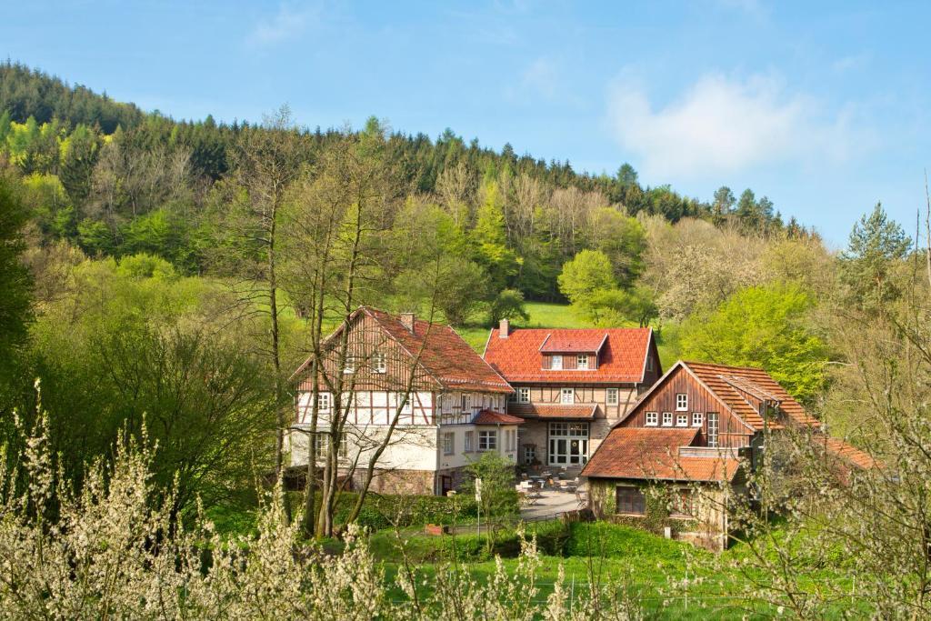 Romantik Hotel Landhaus Barenmuhle Frankenau Exterior photo